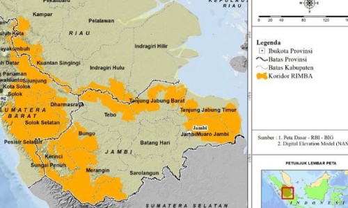 宫外孕早期有哪些典型症状-【宫外孕早期症状具体有哪些】宫外孕早期有哪些典型症状 - 宫外早期有什么症状网