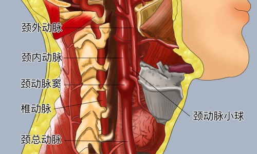 【宫外孕早期症状具体有哪些】宫外孕早期有哪些典型症状 - 宫外早期有什么症状网